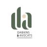 Logo Dabiens & Avocats