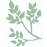 Logo CSS Avocats