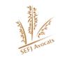 Logo SEFJ Avocats